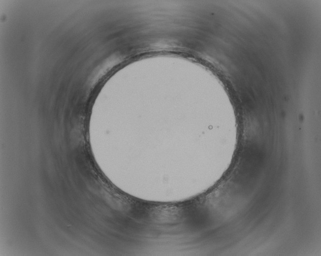 X0000074231314200609081611