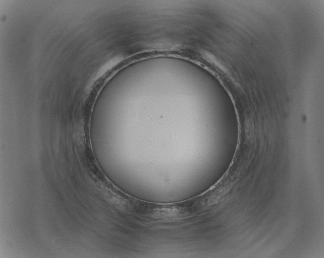 X0000074231315200609081611