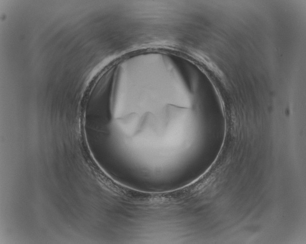 X0000074231316200609081611