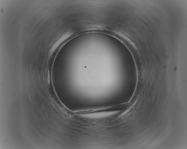 X0000074231317200609081611