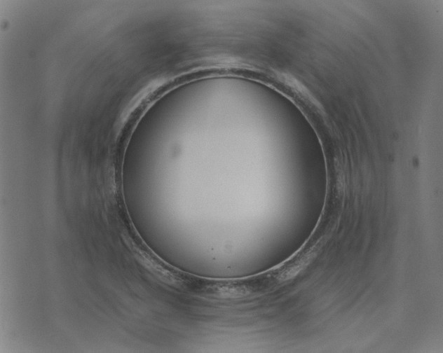 X0000074231318200609081611