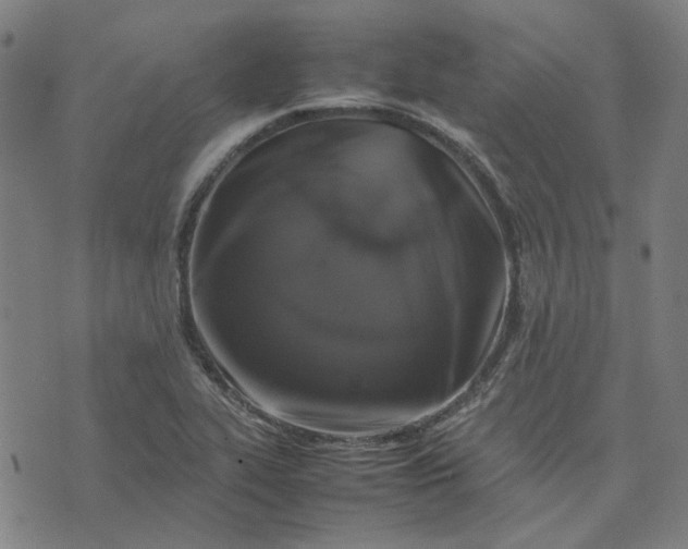 X0000074231319200609081611