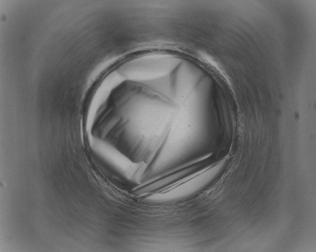 X0000074231320200609081611