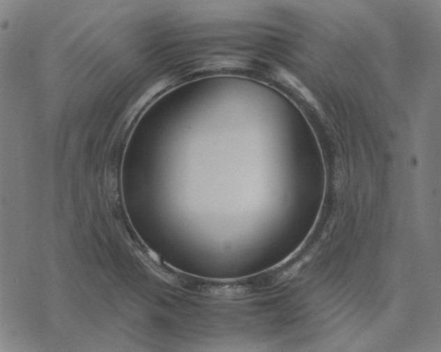 X0000074231321200609081611