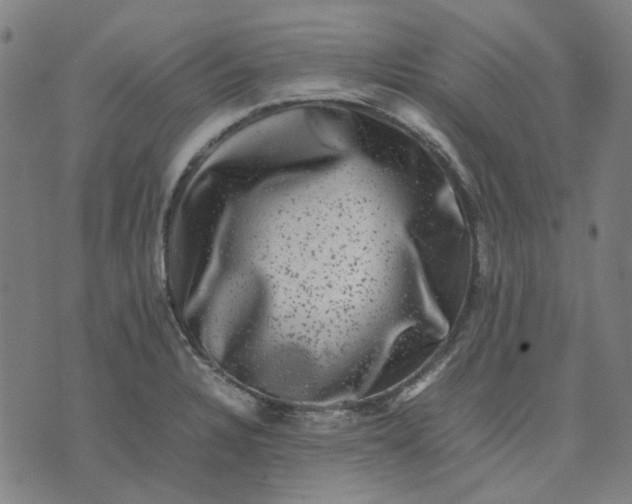 X0000074231328200609081611