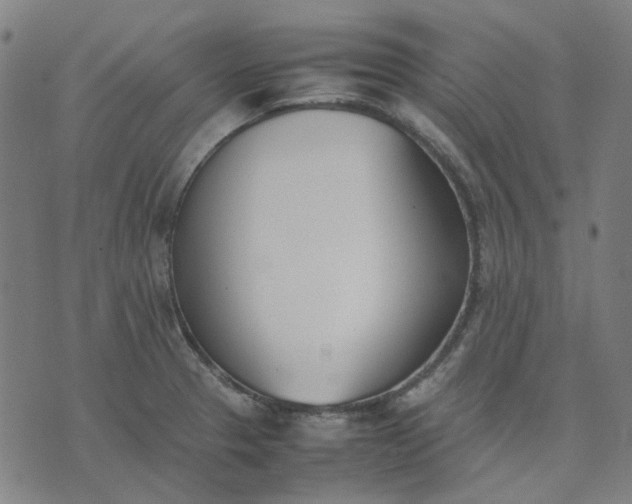 X0000074231329200609081611