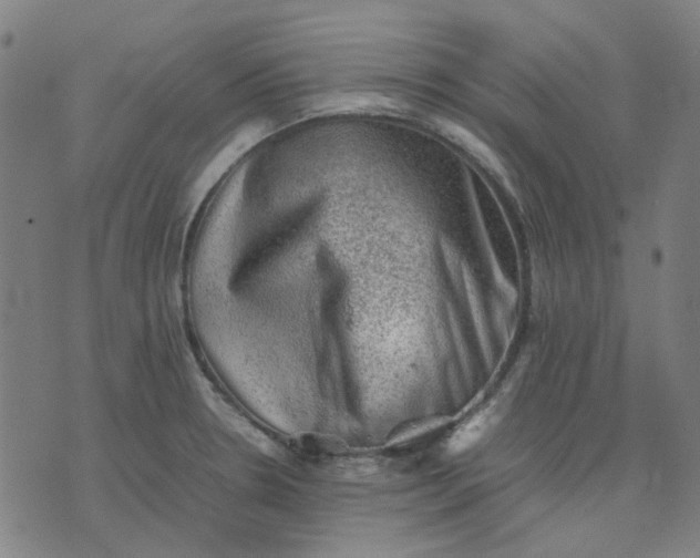 X0000074231330200609081611