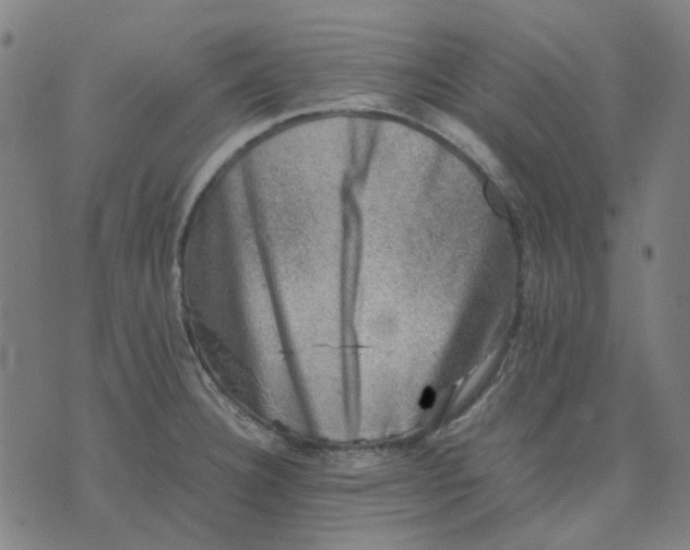 X0000074231332200609081611