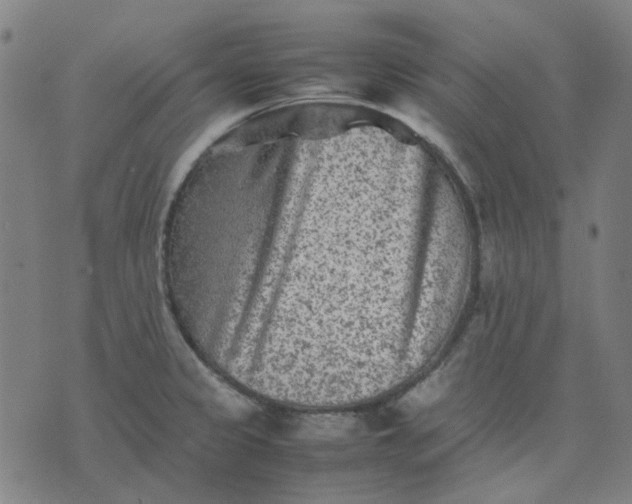 X0000074231333200609081611