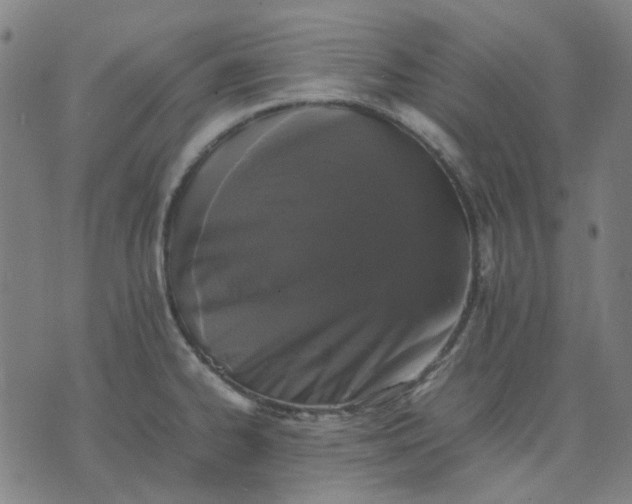 X0000074231334200609081611