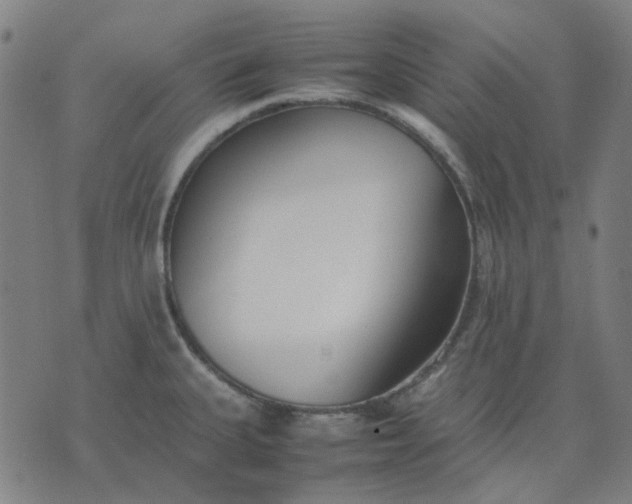 X0000074231335200609081611