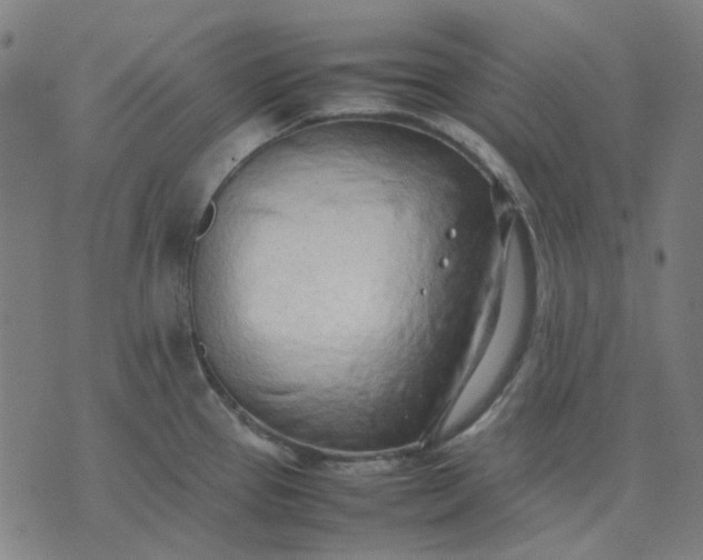 X0000074231337200609081611