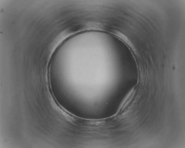 X0000074231339200609081611