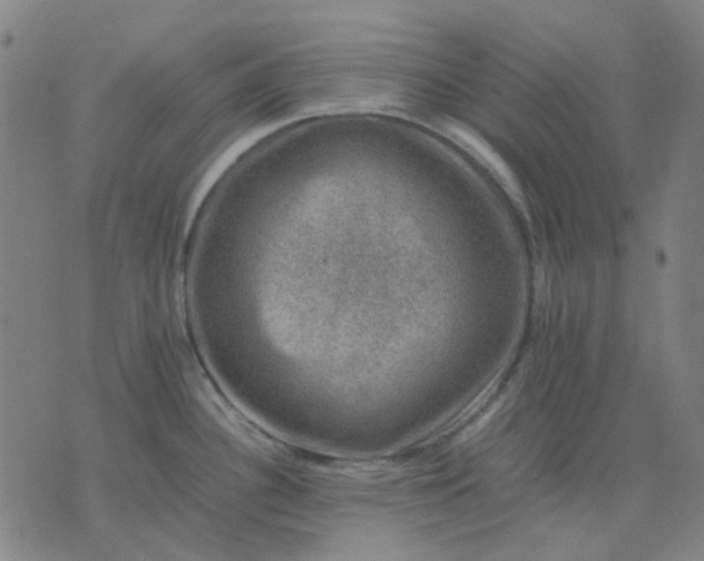 X0000074231340200609081611