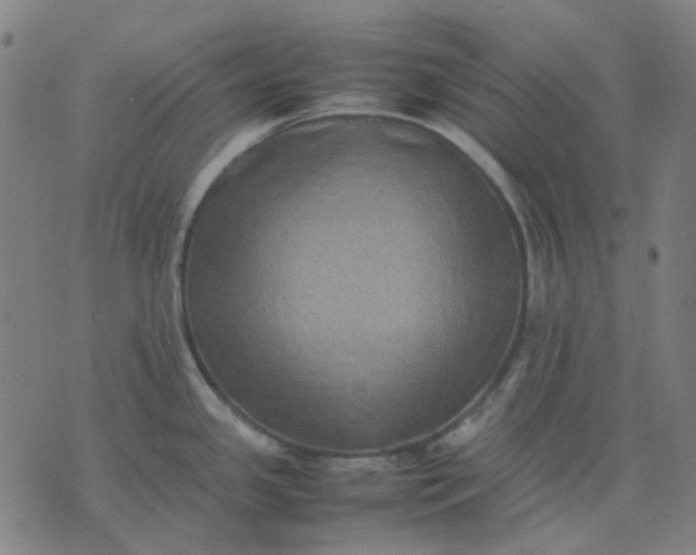 X0000074231341200609081611