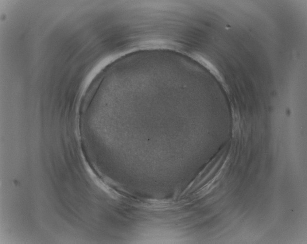 X0000074231342200609081611