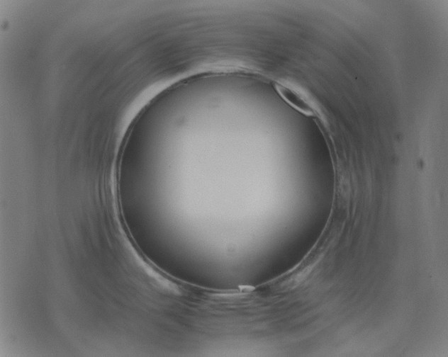 X0000074231343200609081611