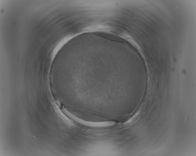 X0000074231344200609081611