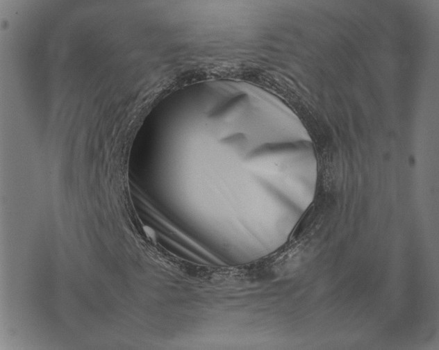 X0000074231345200609081611