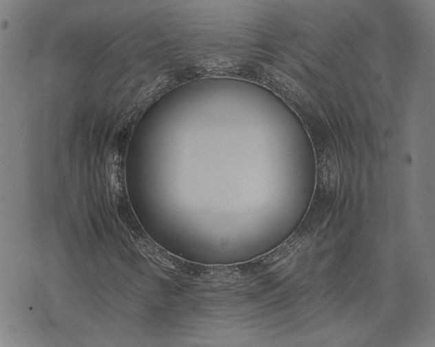 X0000074231346200609081611