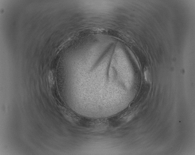 X0000074231347200609081611