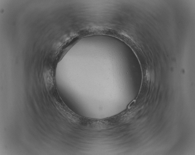 X0000074231348200609081611