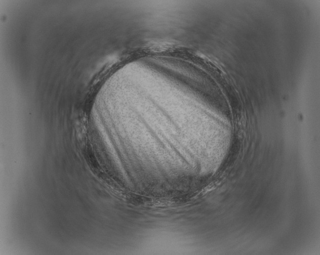 X0000074231349200609081610