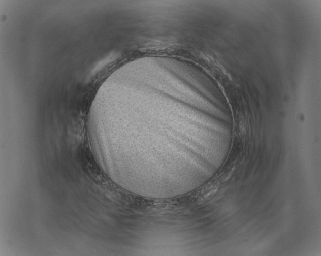 X0000074231350200609081610