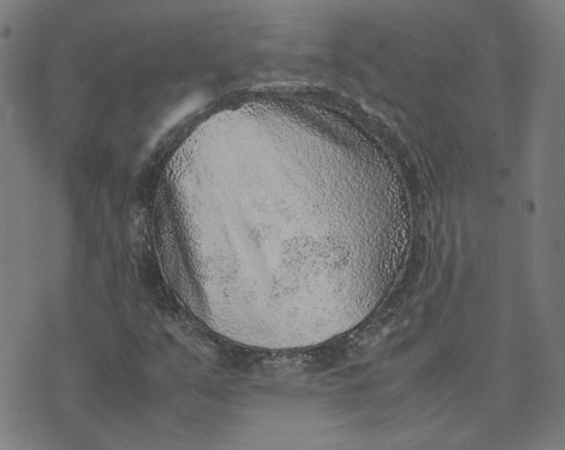 X0000074231351200609081610