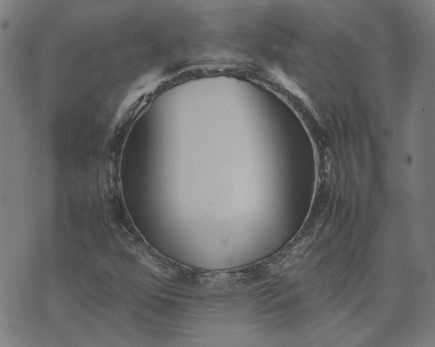 X0000074231352200609081610