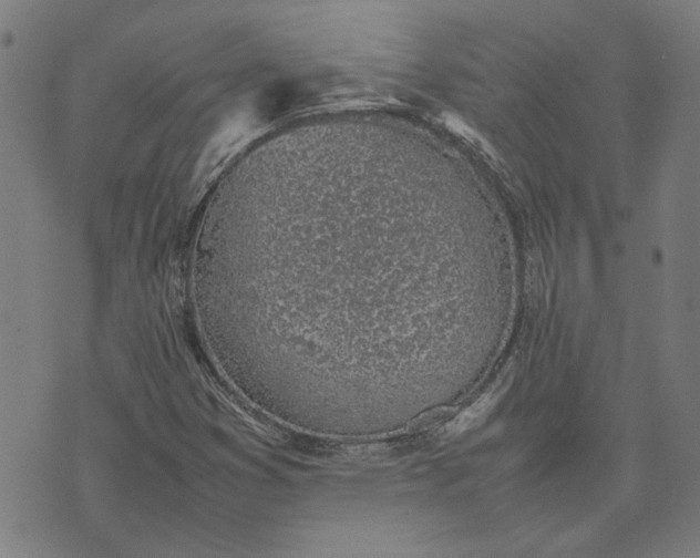 X0000074231353200609081610