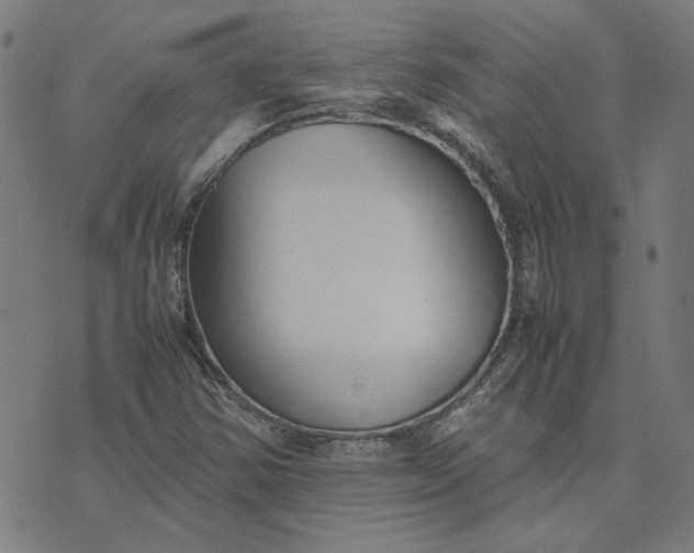 X0000074231354200609081610