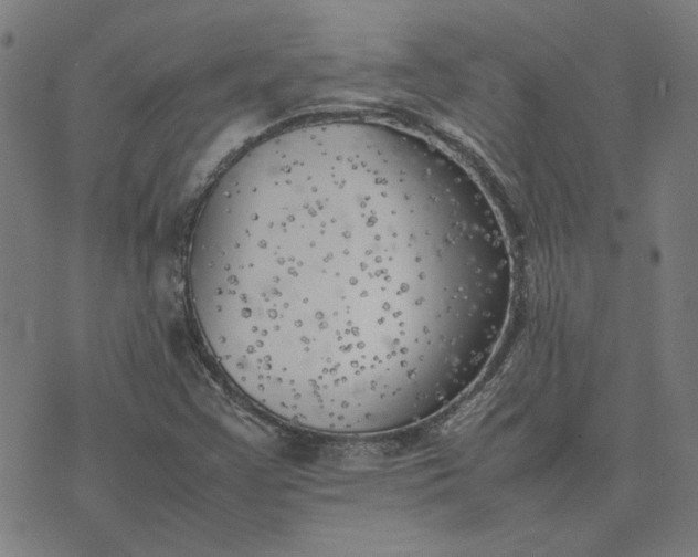 X0000074231355200609081610