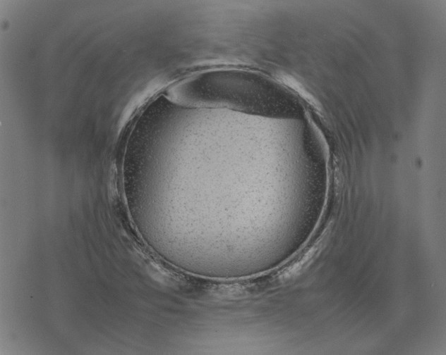 X0000074231357200609081610