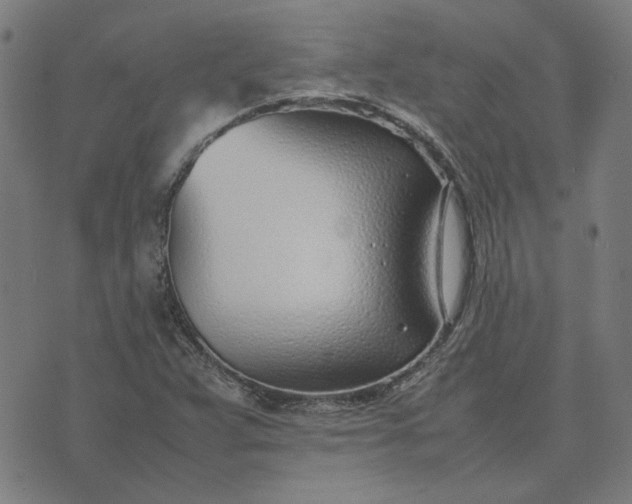 X0000074231359200609081610