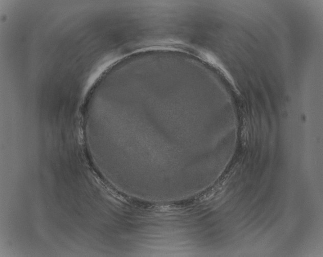 X0000074231360200609081610