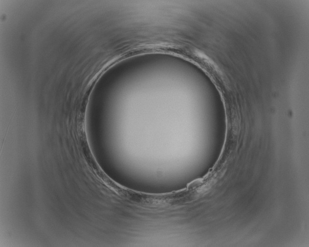 X0000074231361200609081610