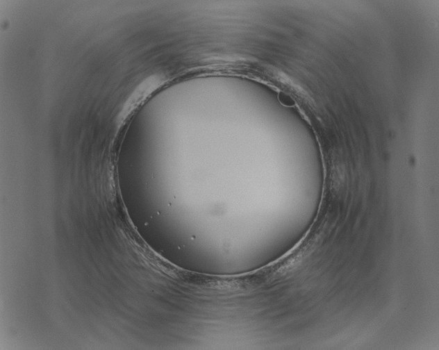 X0000074231362200609081610