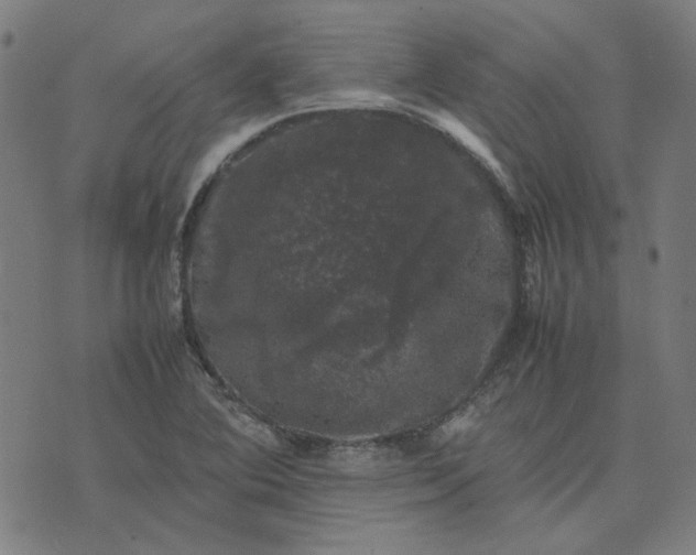 X0000074231364200609081610