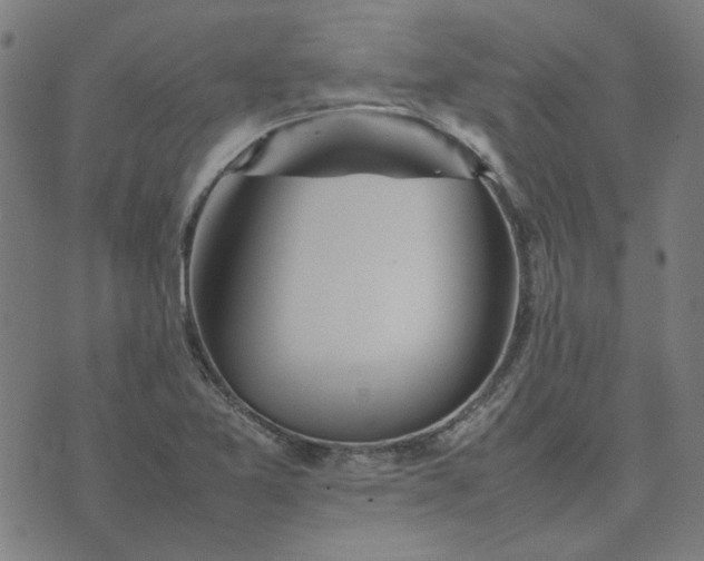 X0000074231365200609081610