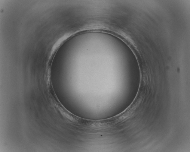 X0000074231366200609081610