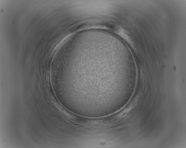 X0000074231369200609081610