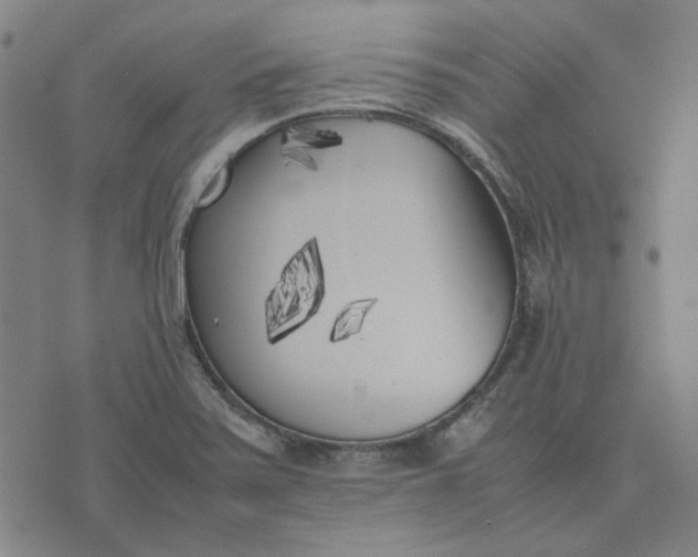 X0000074231371200609081610