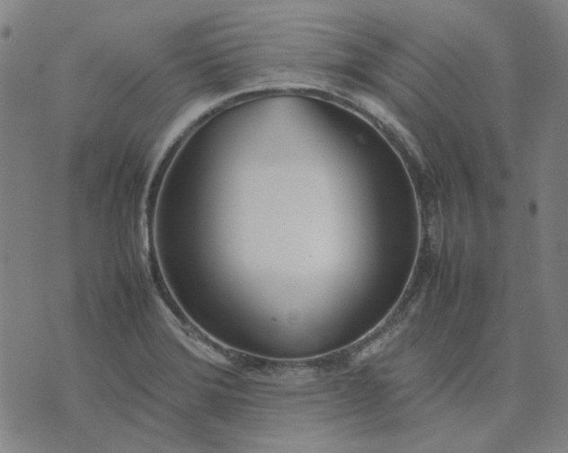 X0000074231372200609081610