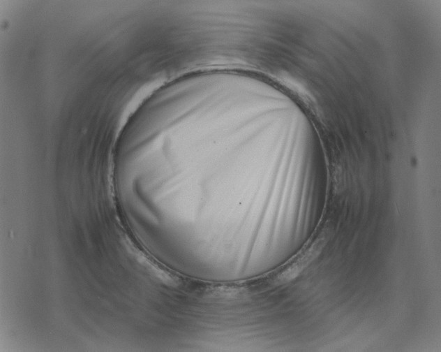 X0000074231374200609081610