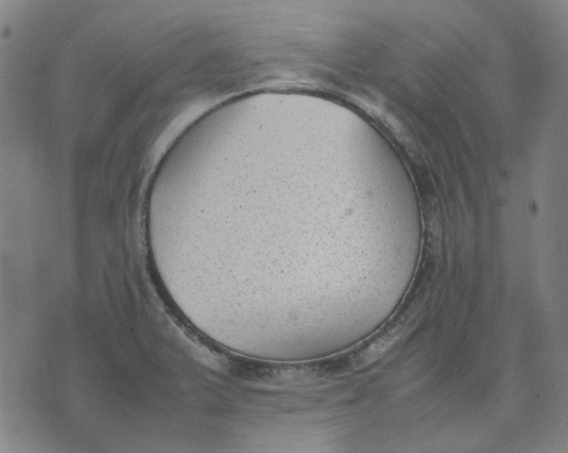 X0000074231375200609081610