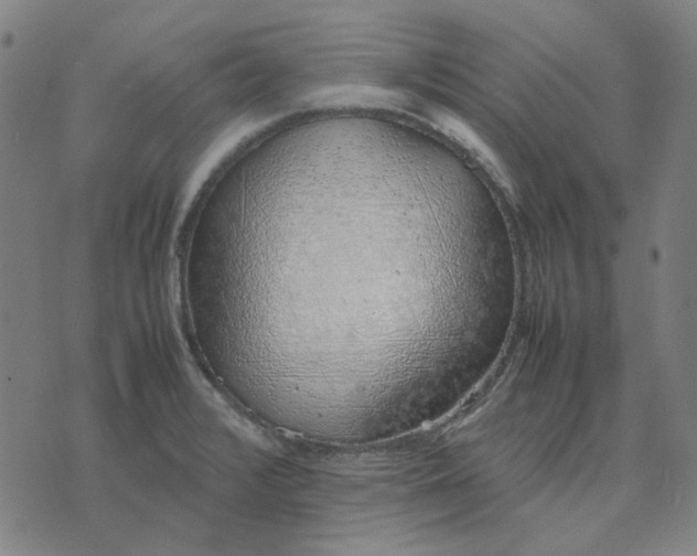 X0000074231376200609081610