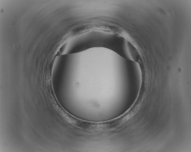 X0000074231377200609081610