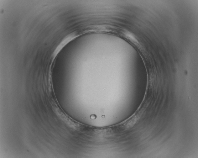 X0000074231378200609081610