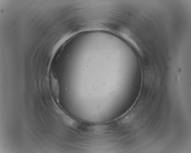 X0000074231380200609081610